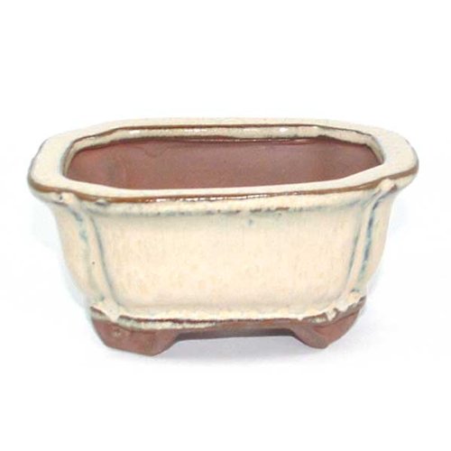 10.5cm Bonsai or Accent Pot - Cream Coloured 