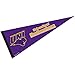 Northern Iowa Pennant Full Size Felt