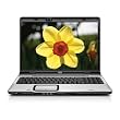 HP Pavilion DV9820US...