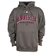 Search : Minnesota Twins Road Property Performance Hooded Fleece