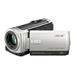 Sony Handycam HD Flash Camcorder - Silver (HDRCX100)