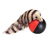 Fergus Ferret