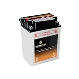 UB14A-A2 YB14A-A2 Yamaha TFM 36 FG Grizzly ATV Battery