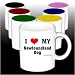 I Love/Heart Newfoundland Dog Mug (Your Choice of Colors)