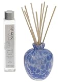 Pearlessence Gallery Scents Reed Diffuser, Blue/Spring Shower