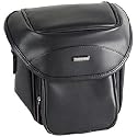 Fujifilm SC-FXS100 Leather Case for Fuji S100fs, S2000HD, S8100fd, and S1000fd Digital Cameras