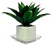 Plastec SQRO8 Square Recycled Plant Saucer, 8-Inch - SQR08