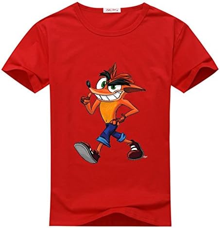 CustomHoodie Crash Bandicoot T shirts, Custom Men's Tshirts