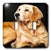 Dogs Golden Retriever - Golden Retriever - Light Switch Covers - double toggle switch