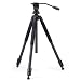 Swarovski Optik AT 101 Aluminum Tripod and DH 101 head
