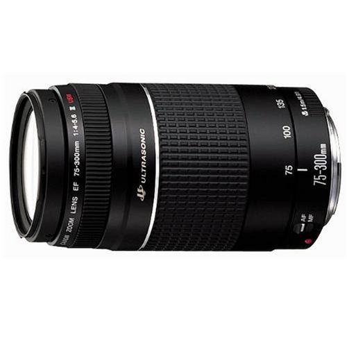 Canon EF 75-300mm F/4.0-5.6 USM III Telephoto Zoom Lens
