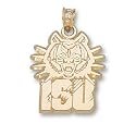 Idaho State New Isu Bengal Head Pendant (14kt)