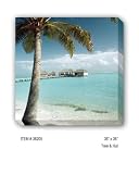 TREE & HUT - Gallery Wrapped, Stretched Canvas Photograph
