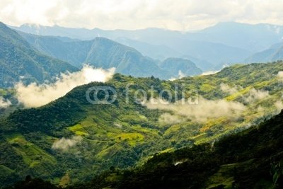 Wallmonkeys Peel and Stick Wall Decals - Regenwald in Peru - 72