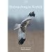 DVD Guide to Birdwatching in Norfolk