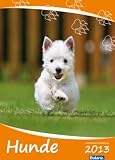 Produkt-Bild: Hunde 2013: Posterkalender