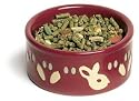 Super Pet Paw-Print PetWare Bowl, Bunny, Colors Vary