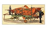 Vibrator Separator 12X18 Art Paper with Gold Frame