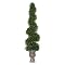 Button Leaf Faux Topiary - Green (7')