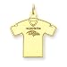 14K Baltimore Ravens Large Logo w/Name Jersey