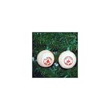 Set of 10 MLB Boston Red Sox Logo Baseball Novelty Christmas Lights - Green Wire