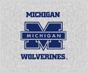 Buy Property Of NCAA Blanket Throw Michigan Wolverines - College Fan Shop Sports Merchandise by Biederlack