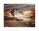 Migration South Poster Print