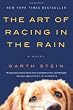 The Art of Racing in the Rain: A Novel