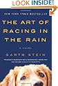 The Art of Racing in the Rain