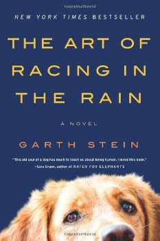 The Art of Racing in the Rain: A Novel