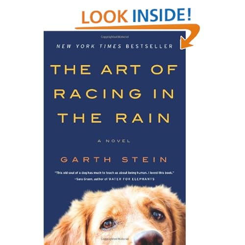 The Art of Racing in the Rain: A Novel
