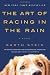 The Art of Racing in the Rain