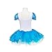 Jastore Girls Princess Crystal Shoes Print Dance Dress Ballet Leotard Tutu Dress