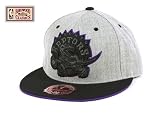 Toronto Raptors NBA XL Logo Wool Fitted Hat Cap