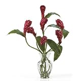 Ginger Torch Liquid Illusion Silk Arrangement - B003A6UUYC