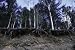 Earth Science Series: Weathering and Erosion