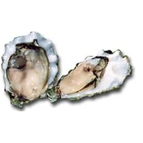Kusshi Oysters - 5 Dozen Per Case