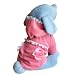Anit Accessories Pink Lace Hoodie Dog Apparel, Large 20-inches