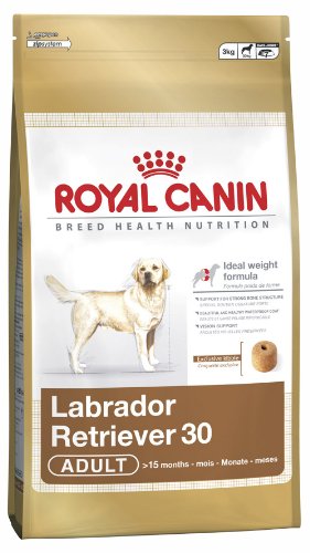 1 X Royal Canin Breed Labrador Retriever 12kg Hundefutter trocken