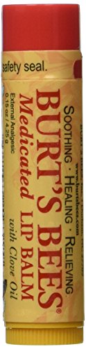 Burt s Bees Burt s Lip Care Medicated Lip Balm with Clove Oil 0.15 oz. tube Lip Balm