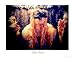 Dark Voices Motivational Photographic Poster Print by Bradley Michael, 10x8