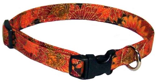 Thanksgiving Turkeys Designer Dog Collar, Small