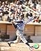 Billy Williams Chicago Cubs Signed 8x10 Photo
