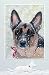 Snow Shepherd Boxed Christmas Cards - 16 Cards & 17 Envelopes