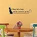 Fincibo (TM) Removable Vinyl Wall Decor Decal Sticker - Cats Home