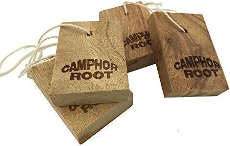 Moth Protection - Cinnamomun Camphcra Old Root Blocks Moth Away For Closet and Drawer Storage - 4 piece