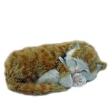 Perfect Petzzz XP92-05 Huggable Orange Tabby Kitten