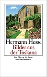 Produkt-Bild: Bilder aus der Toskana: Von Florenz bis Siena (insel taschenbuch)