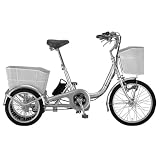 Raychell(レイチェル) 前輪20インチ後輪16インチシマノ内装3段変速電動アシスト三輪自転車[サンスター社製電動ユニット/前後カゴ/オートライト/スイング機能装備] シルバー TR-203EA