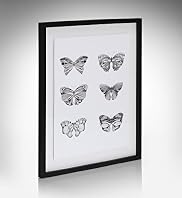 Conran Multi Butterfly Wall Art